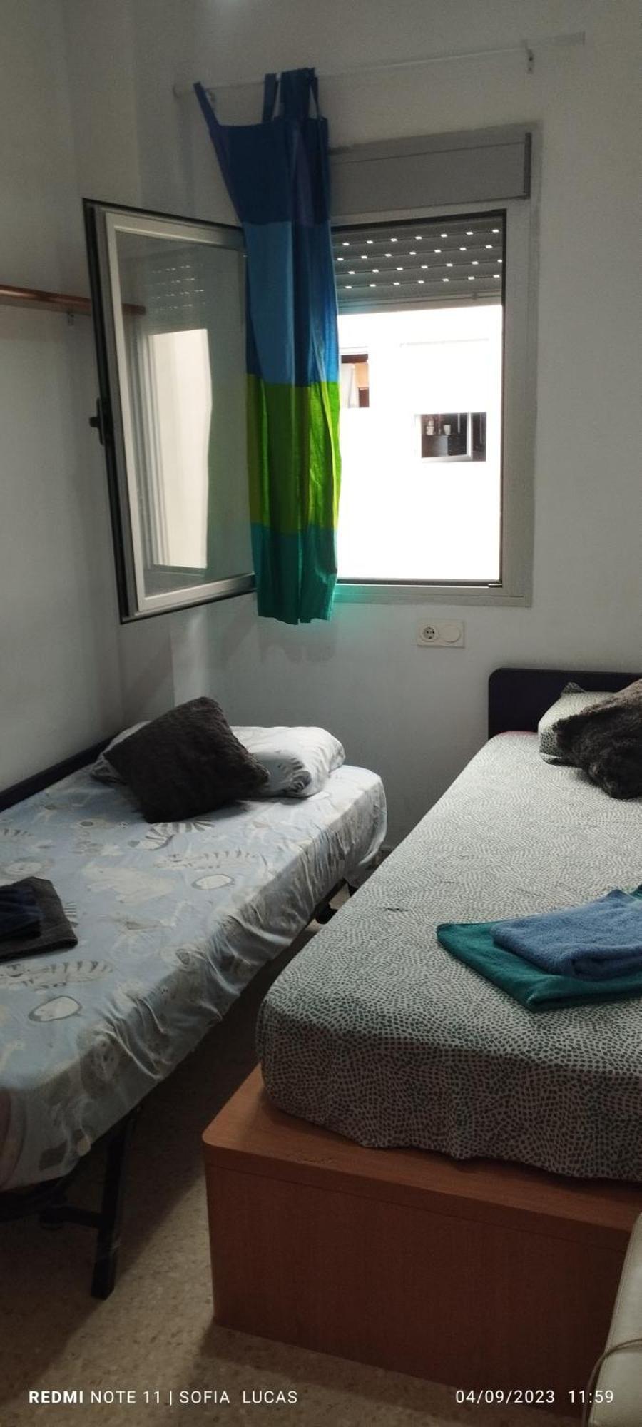 Disfruta Granada,Incluso Con Tu Mascota Parking Lejlighed Eksteriør billede